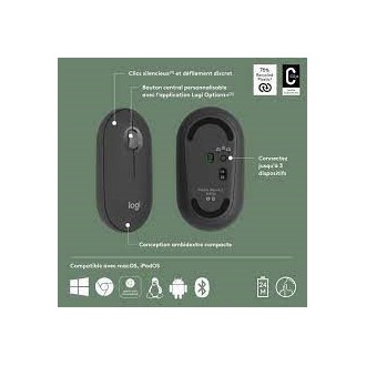 Souris Logitech Peblle Mouse 2 M50s sans fil graphite